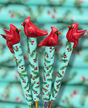 Winter Cardinal Crochet Hook Long Grips Choose One